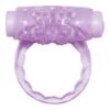 Turbo Dinger Vibrating Cock Ring Purple, Hott Products