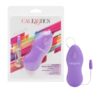 Whisper Micro Heated Bullet Vibrator Purple, CalExotics