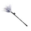 Fifty Shades of Grey, Tease Feather Tickler