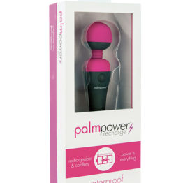 Palm Power Waterproof Rechargeable Massager Wand