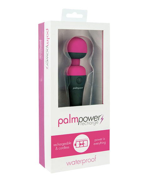 Palm Power Waterproof Rechargeable Massager Wand