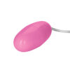 Pocket Exotics Vibrating Pink Passion Bullet, CalExotics