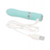 Pillow Talk Flirty Massager Bullet Vibe Teal, BMS