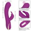 Jack Rabbit Signature Thumping Rabbit Vibrator