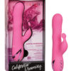 California Dreaming Santa Barbara Surfer Vibrator