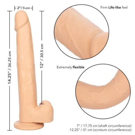 Size Queen 12in Dildo w/Balls Ivory, CalExotics