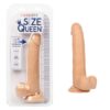 Size Queen 8in Dildo w/Balls Ivory, CalExotics