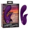 Huntington Beach Heartbreaker Vibrator, California Dreaming