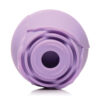 Bloomgasm Wild Rose 10X Clit Stimulator Purple, INMI