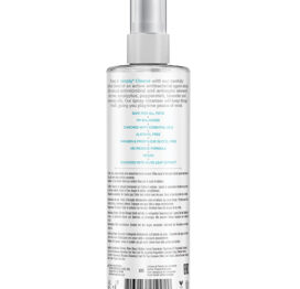 Wicked Simply Cleene Anti Bacterial Toy Cleaner 4oz