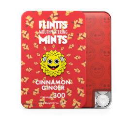 Flintts Mouth Watering Mints Cinnamon Ginger, F Strength 300