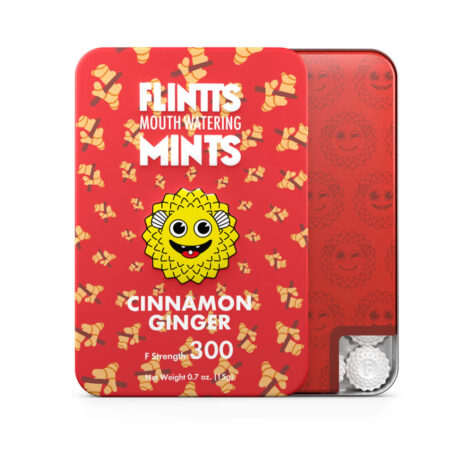 Flintts Mouth Watering Mints Cinnamon Ginger, F Strength 300