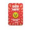 Flintts Mouth Watering Mints Cinnamon Ginger, F Strength 300