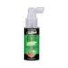 GoodHead Juicy Head Dry Mouth Spray Sour Watermelon 2oz