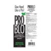 Pro Blo Numbing Deep Throat Spray Mint 1oz (29ml)