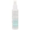 Pjur Toy Clean Intense Cleaning Spray 3.4oz (100ml)
