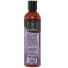 Intimate Earth Tushie Anal Relaxing Hybrid Glide 8oz (240ml)