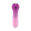 FemmeFunn Anniversary Ultra Bullet Vibrator Orchid Silicone